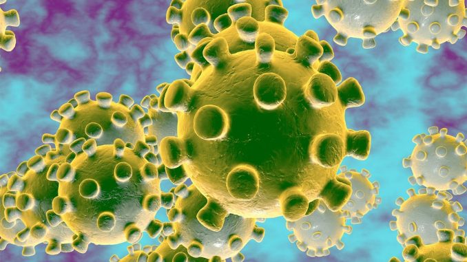 First case of corona virus Coronavirus symptoms
