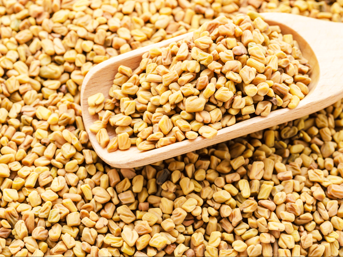 Benefits of Fenugreek Health and Glow 2HFit